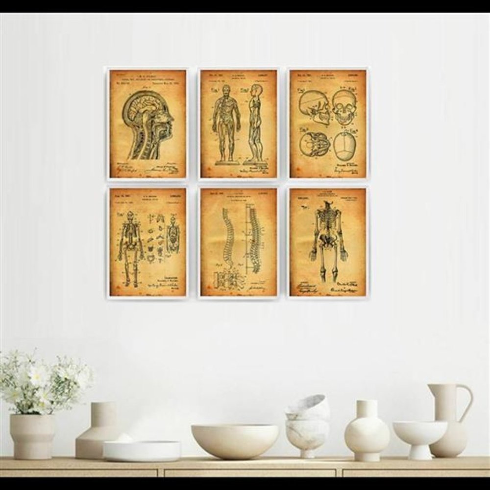Medical Anatomy Vintage Style Patent Wall Art Set of 6 Prints